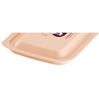 スケーター 保存容器 530ml フタしたまま使える保存容器 うさまる 2個セット 451873 1個（直送品）