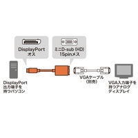 サンワサプライ  DisplayPort-VGA変換アダプタ AD-DPV06（直送品）