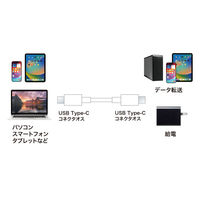 サンワサプライ  USB 2.0 Type-Cケーブル（PD60Ｗ・2m・ホワイト） KU-CCP6020W（直送品）