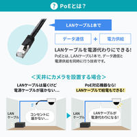 サンワサプライ  レイヤー2ギガビット対応PoEスイッチングハブ（24ポート） LAN-GIGAPOE2401（直送品）
