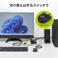 サンワサプライ  4K対応HDMIパソコン切替器（エミュレーション非搭載・手元スイッチ付き） SW-KVM2WHUUS（直送品）