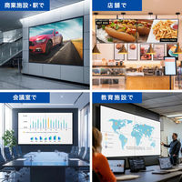 サンワサプライ  4画面ビデオウォールコントローラ（4K対応） VGA-PHD4VWC（直送品）