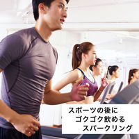 伊藤園 リカバリー ブーストスパークリング 500ml 1セット（48本）