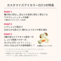 MAQuillAGE（マキアージュ）カスタマイズアイカラー シングル  SV841 資生堂