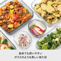 吉川国工業所 調理ができる保存容器　Ｍ（3個組） ＦＣー031_Ｃｒ 1セット
