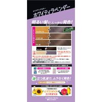 ビューティーン メイクアップカラー ホワイティラベンダー ラベンダー hoyu（ホーユー）