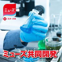 フィニッシュパワー＆ピュア パウダー 重曹 大型詰替1kg【旧品】