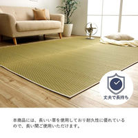 イケヒコ プレーン い草ラグ 市松柄 1910×1910mm 1051631013604 1枚（直送品）