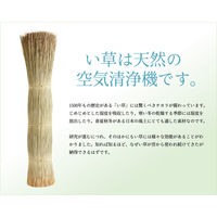 イケヒコ 奥丹後 花ござ 本間8畳 3820×3820mm ベージュ 1080110021502 1枚（直送品）