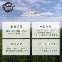 イケヒコ 清明 置き畳 820×820mm グリーン 1110130120208 1枚（直送品）