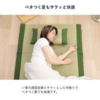 イケヒコ・コーポレーション 詩織 枕 イエロー 30×50cm 1122950296301 1個（直送品）