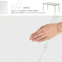 【軒先渡し】B.Bファニシング LUCY ダイニングテーブル 幅1200×奥行690×高さ730mm LUDT0277CEWHT 1台（直送品）