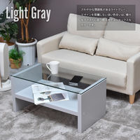 【軒先渡し】B.Bファニシング Noko ガラスセンターテーブル 幅750×奥行400×高さ370mm NKTB0266MOLGY 1台（直送品）