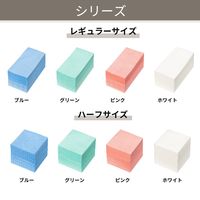 （限定）抗菌・防カビ カウンタークロス レギュラー 約30×60cm ホワイト 1セット（1パック（100枚入）×5）帝人フロンティア オリジナル