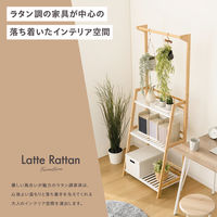 武田コーポレーション ハンガー付き プランターラック3段 W80 LN-E-HPR80 1箱(1個入)（直送品）