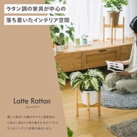 武田コーポレーション プランタースタンド 大 LN-E-PS30NA 1箱(6個入)（直送品）