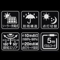 大進 センサーライト ソーラータイプ 屋外用 2灯式 1セット（1台×2）（直送品）