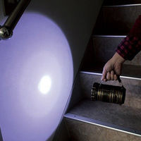 懐中電灯にもなるLEDランタンゴールド DLB-005LTDG 1丁（直送品）