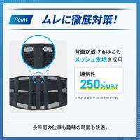 メディエイド しっかりガード腰 EXハード LL 338404 日本シグマックス　腰サポーター