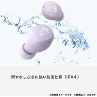 JVCケンウッド 完全ワイヤレスイヤホン HA-A6T HA-A6T-V 1個（直送品）