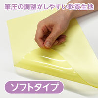 共栄プラスチック 軟質 下敷き 透明カラーのしっかりシタ字キ A4 パイン TCS-A4-PI 1セット(1枚×5)（直送品）