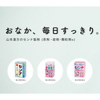 大型センナ 3g×96包 山本漢方製薬 便秘 便秘に伴う肌あれ【指定第2類医薬品】
