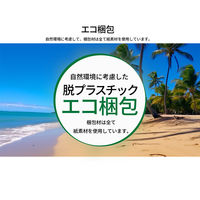 JAPANNEXT 27インチ 液晶モニター(エコパッケージ/HDMI・DP・TypeーC) JN-I27F-C65W-HSP 1台