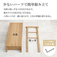 【軒先渡し】萩原 手摺り付き玄関踏み台 MFD-6909DBR 1台（直送品）