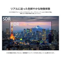 【設置込】JAPANNEXT 55インチ4K液晶モニター 純正スタンドセット JN-HDR553IPS4KJRF-KUMI 1セット（直送品）