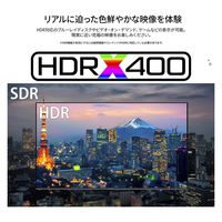 【設置込】JAPANNEXT 65インチ4K液晶モニター 純正スタンドセット JN-HDR650IPSUHDJRF-KUMI 1セット（直送品）