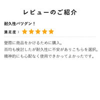 【軒先渡し】ストア・エキスプレス ディスプレイネット ブラック スチール製　150×30cm 6496-253 1台（直送品）