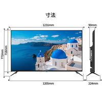 JAPANNEXT 55インチ ワイド 4K液晶ディスプレイ JN-HDR553IPS4K 1台（直送品）