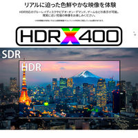 JAPANNEXT 65インチ4Kディスプレイ・スタンド(JN-3275-90JRF)セット3年保証 JN-HDR650IPSUHDJRF 1セット（直送品）