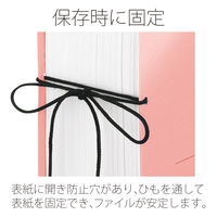 プラス 背幅伸縮セノバスエコノミーA5E FL042SH PK 88458 1冊（直送品）