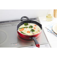 竹原製缶 グッドフル IH深型フライパン 22cm ガラス蓋付き PK-522G 1個（直送品）