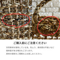 パラデック かごバッグ コディ シーグラス メッシュバスケット L 456251 1個（直送品）