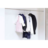 エスエイ企画 ハンガー 衣類収納アップハンガー 幅50cm 2本組 収納 グレー 460081 1個（直送品）