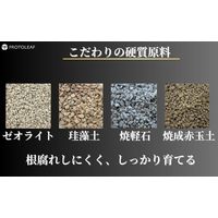 【園芸用品】プロトリーフ 室内向け観葉・多肉の土プレミアム 3.5L 1袋