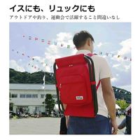 スワン SIERRA FIELD チェアリュック 2222 ブラック 1個（直送品）