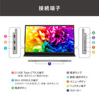 【まとめ買いがお得】アイリスオーヤマ モバイルモニター PCモニター USB-C ディスプレイ 15.6インチ DP-EF164S-B