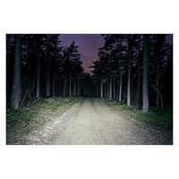 BOOKMAN Volume Front 800 自転車用フロントライト White 548 1個（直送品）