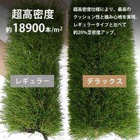 ミナト電機工業 リアル人工芝 防草タイプ 1m×5m デラックス AT-DX351-0105 1個（直送品）