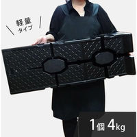 ミナト電機工業 ワイド型 カースロープ 2個セット PCR-2.5A-2P 1個（直送品）