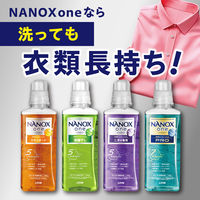 【アウトレット】ナノックス ワン（NANOX one） 部屋干し 本体 大サイズ 640g 1セット（1個×3） 洗濯洗剤 ライオン