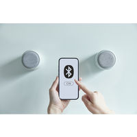 リズム MAGSPEAKER DUO 9YYA30RH08 1個