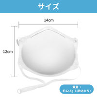 KAEI NIOSH N99防護マスク K0336 カップ型 1個(10枚入)（直送品）