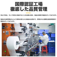 KAEI 個包装マスク(女性・子供用) KO320 感染予防 1梱(50枚入x30箱)（直送品）