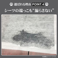 KAEI 炭入り 厚型ペットシーツ スーパーワイド KO366 大型 犬猫トイレ 1箱(100枚)（直送品）