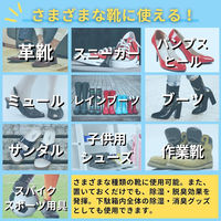 BELO 靴シューズ用乾燥剤 4580634171957 1セット(5個入)（直送品）