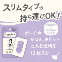 レック SRT 女性用 流せるボディシート 無香料 C01258 1個（12枚入）